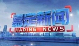 嘉定新闻爆料,揭秘某神秘项目背后真相